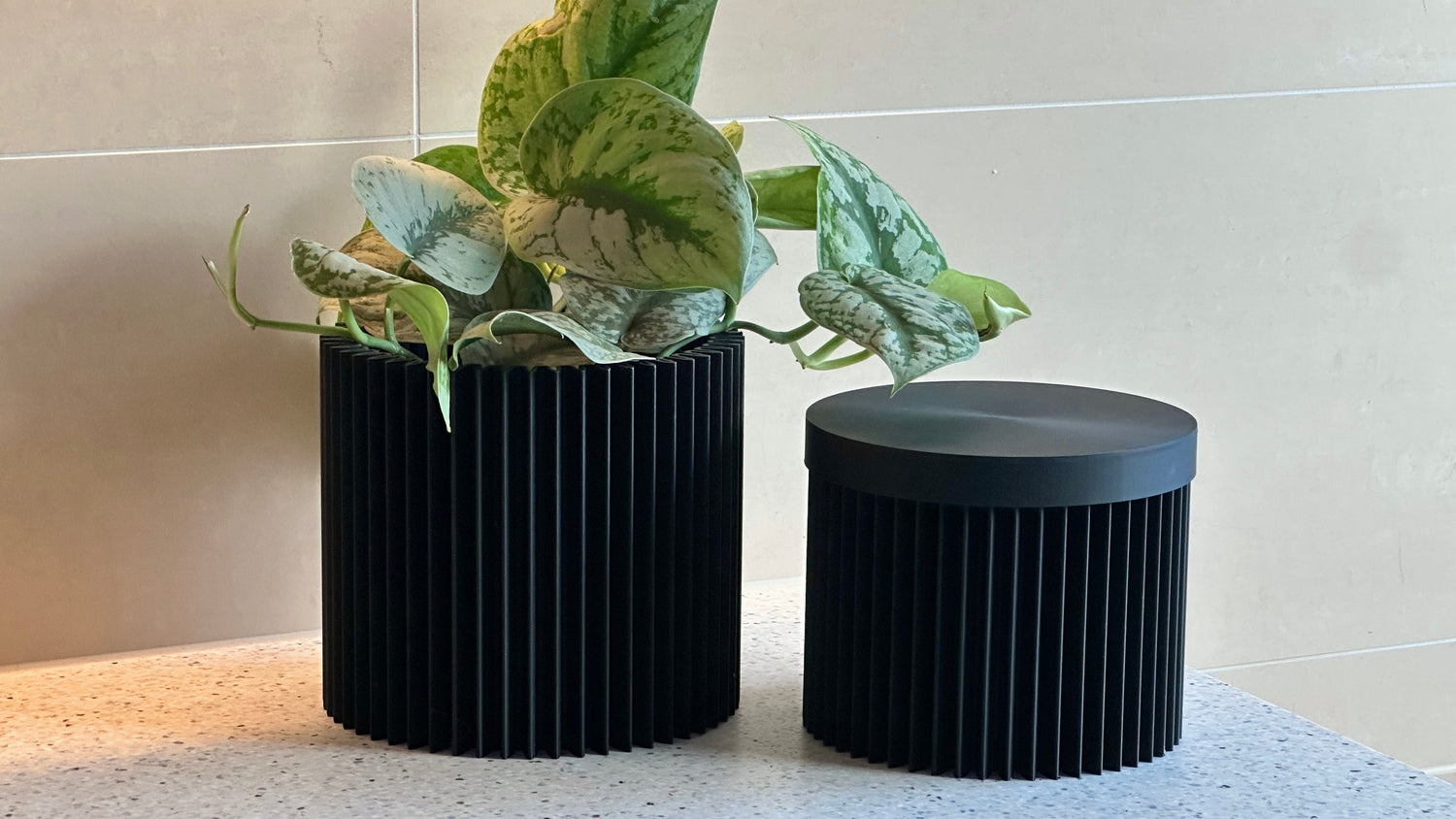 cog form interial design firm serie