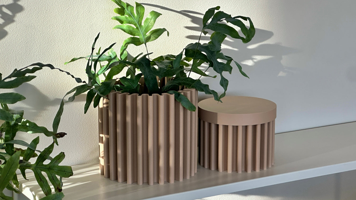 cog form interial design flow serie