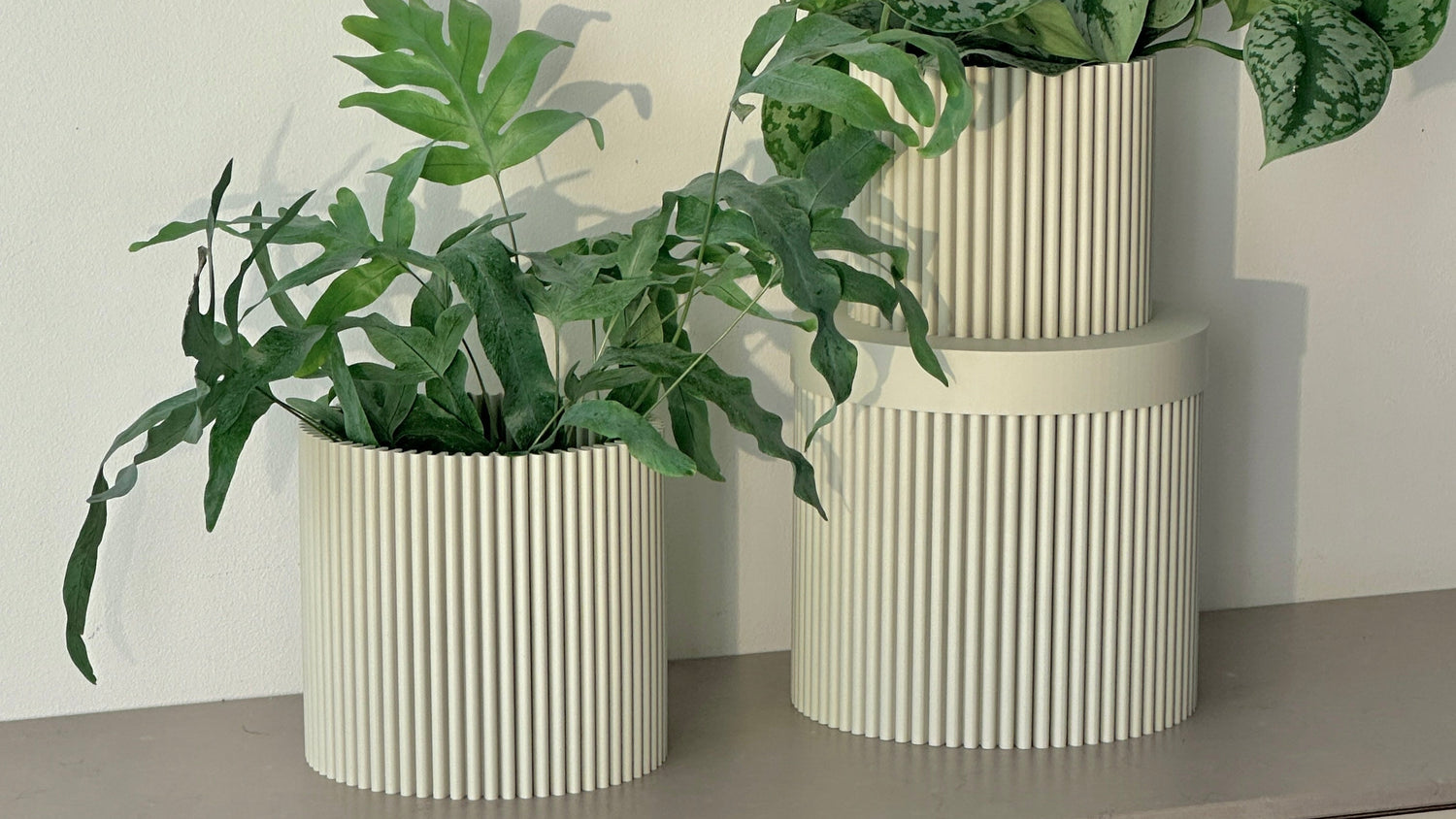 cog form interial design foam serie