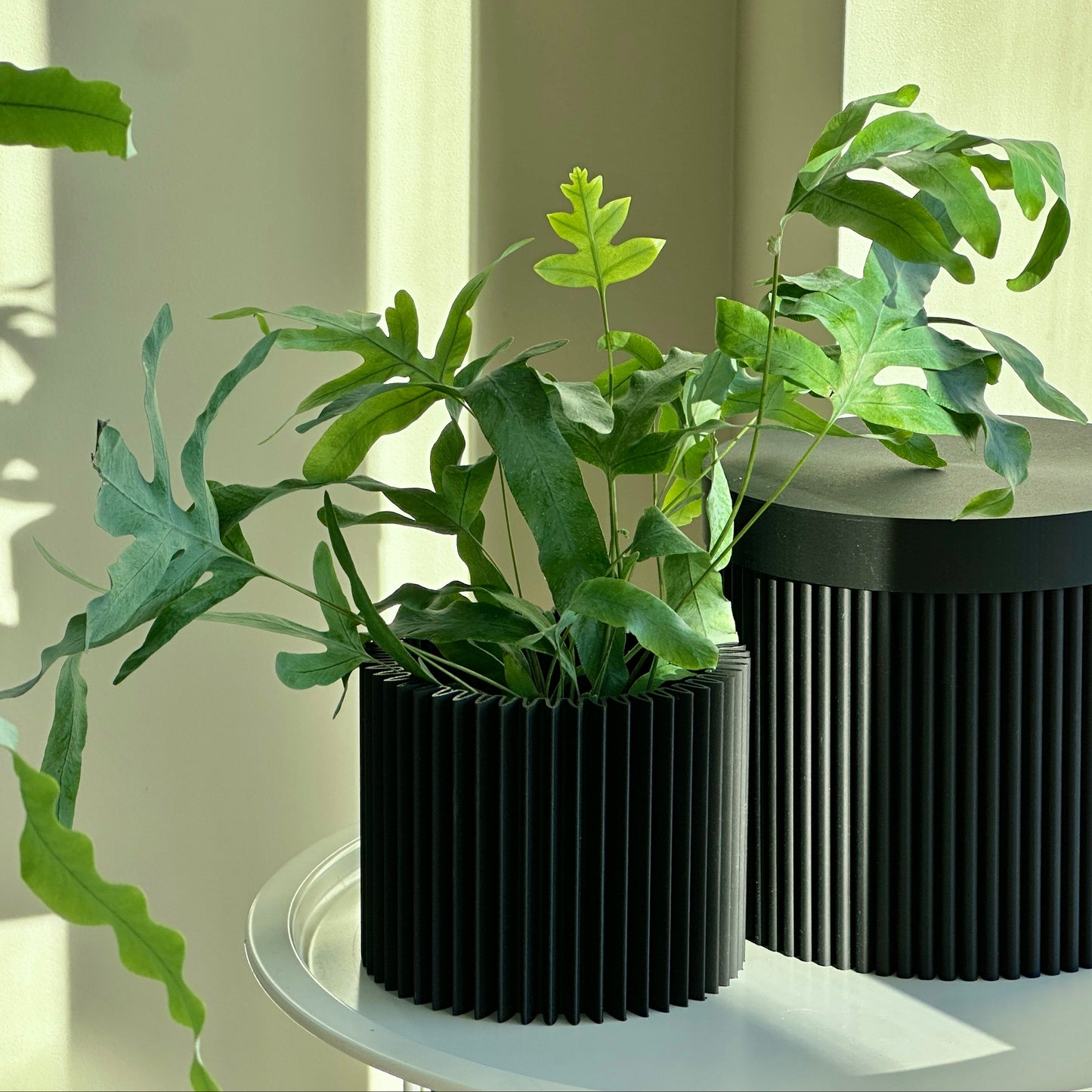 cog form firm pot charcoal