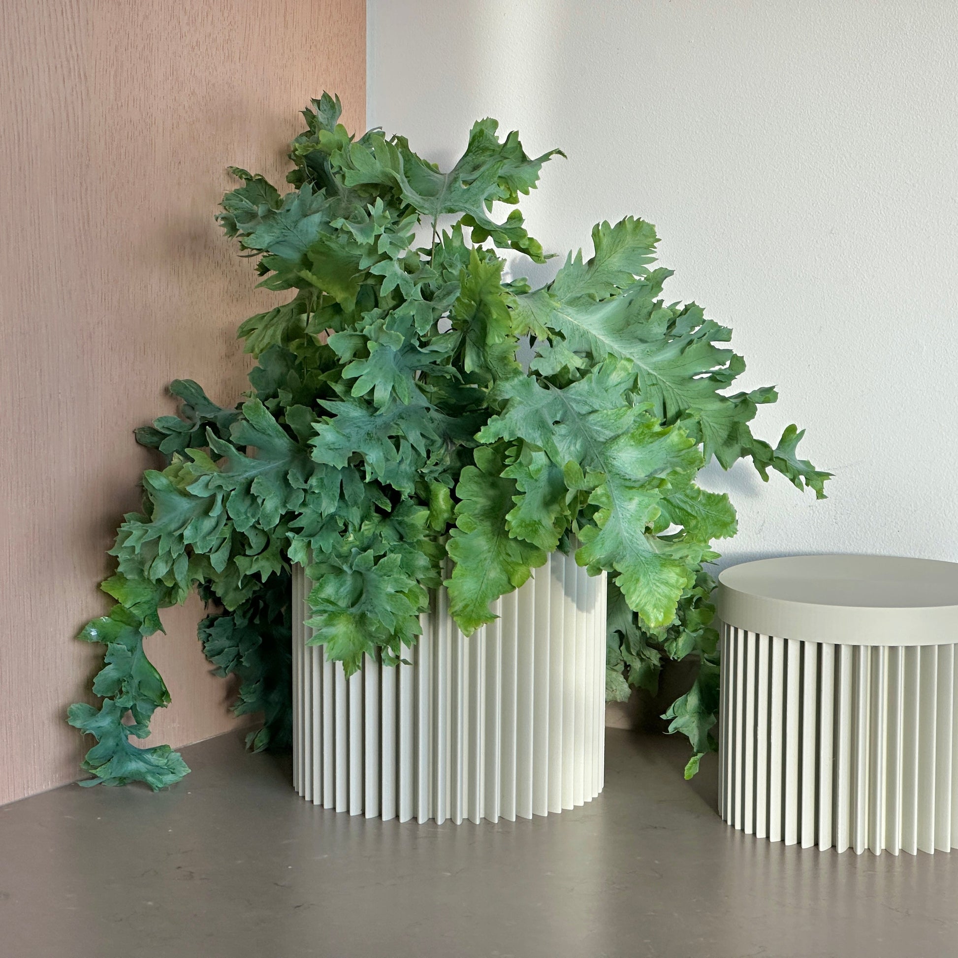 cog form firm pot light sand