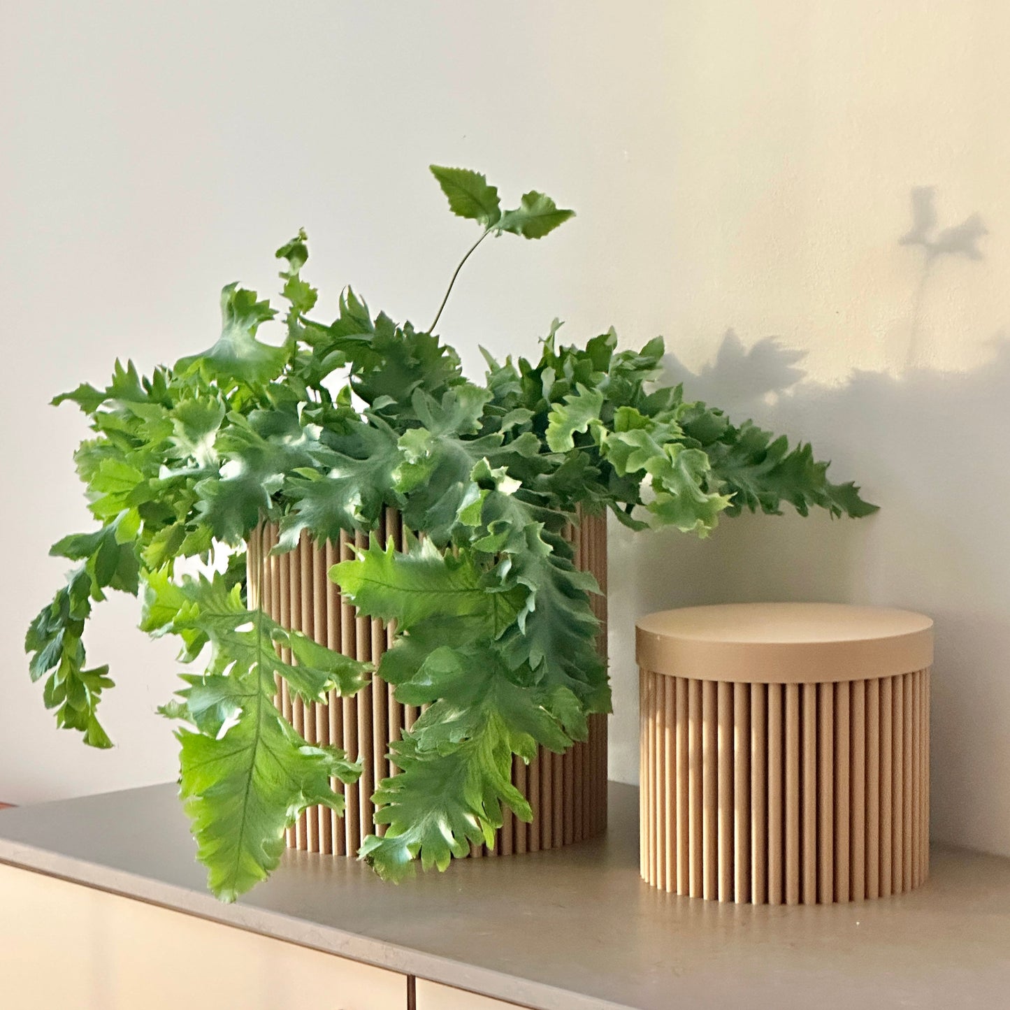 cog form foam pot almond