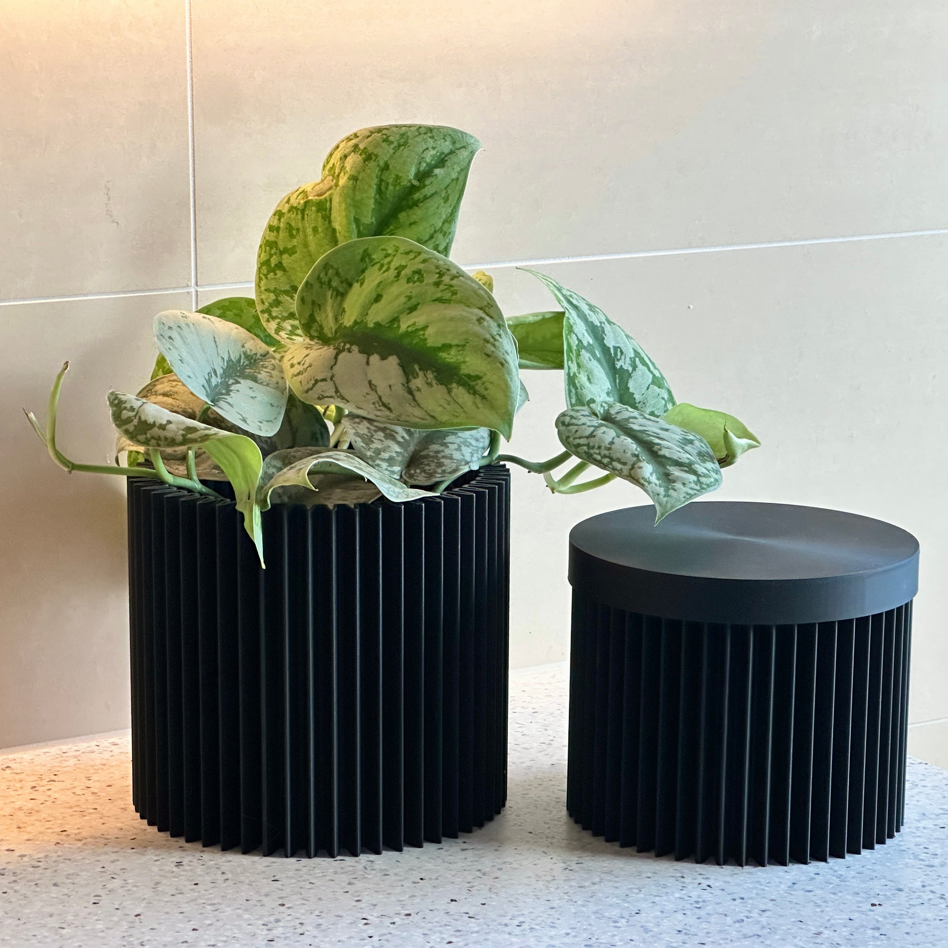 cog form firm flower pot and box